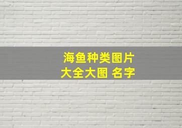 海鱼种类图片大全大图 名字